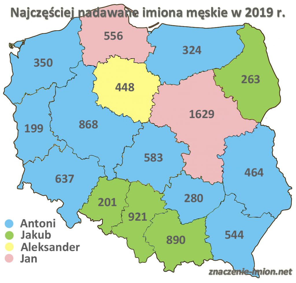 ranking imion 2019